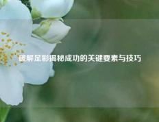 破解足彩揭秘成功的关键要素与技巧