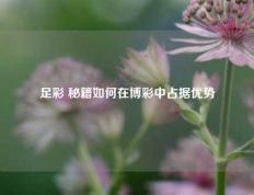 足彩 秘籍如何在博彩中占据优势