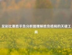 足彩比赛胜平负分析图理解胜负格局的关键工具