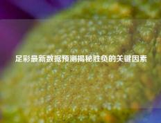 足彩最新数据预测揭秘胜负的关键因素