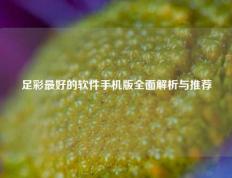 足彩最好的软件手机版全面解析与推荐