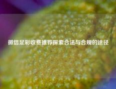 微信足彩收费推荐探索合法与合规的途径