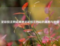 足彩投注网站揭秘足彩投注网站的真相与风险