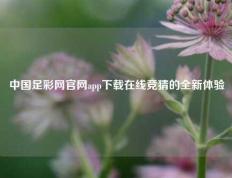 中国足彩网官网app下载在线竞猜的全新体验