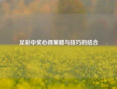 足彩中奖心得策略与技巧的结合
