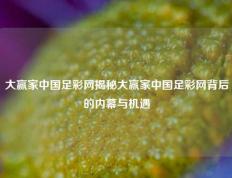 大赢家中国足彩网揭秘大赢家中国足彩网背后的内幕与机遇
