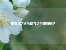 足彩技巧经验提升您的博彩策略