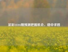 足彩18104期预测把握机会，稳中求胜