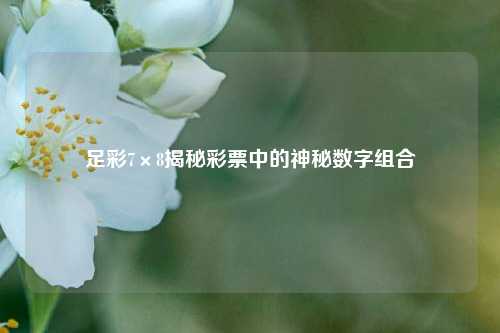 足彩7×8揭秘彩票中的神秘数字组合