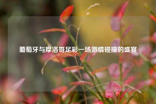葡萄牙与摩洛哥足彩一场激情碰撞的盛宴