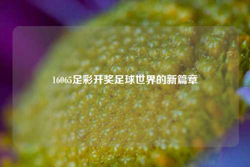 16065足彩开奖足球世界的新篇章