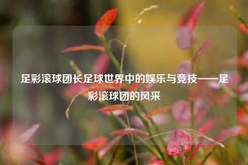 足彩滚球团长足球世界中的娱乐与竞技——足彩滚球团的风采