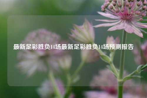 最新足彩胜负14场最新足彩胜负14场预测报告