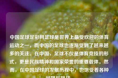 中国足球足彩网足球是世界上最受欢迎的体育运动之一，而中国的足球也逐渐受到了越来越多的关注。在中国，足球不仅是体育竞技的形式，更是民族精神和国家荣誉的重要载体。然而，在中国足球的发展历程中，也饱受着各种问题与挑战。