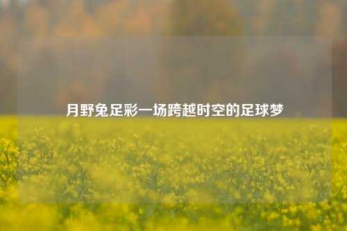 月野兔足彩一场跨越时空的足球梦