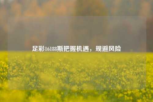 足彩16188斯把握机遇，规避风险