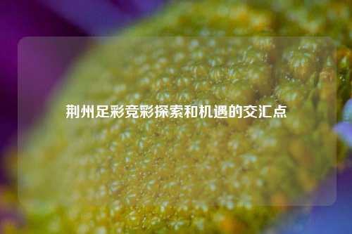 荆州足彩竞彩探索和机遇的交汇点