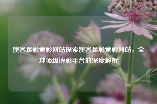 澳客足彩竞彩网站探索澳客足彩竞彩网站，全球顶级博彩平台的深度解析
