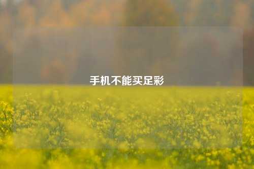 手机不能买足彩