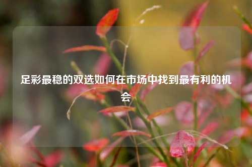 足彩最稳的双选如何在市场中找到最有利的机会