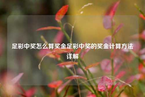 足彩中奖怎么算奖金足彩中奖的奖金计算方法详解