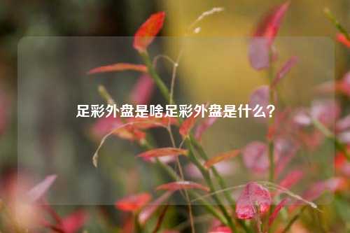 足彩外盘是啥足彩外盘是什么？