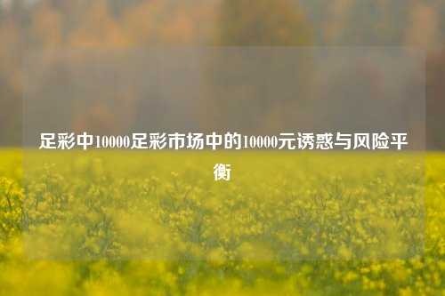 足彩中10000足彩市场中的10000元诱惑与风险平衡