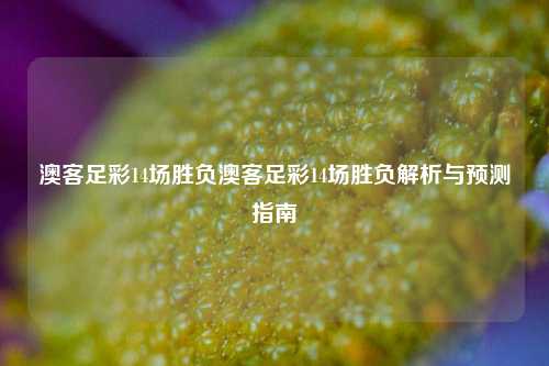 澳客足彩14场胜负澳客足彩14场胜负解析与预测指南