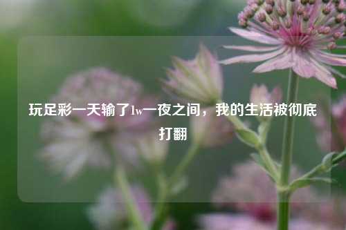 玩足彩一天输了1w一夜之间，我的生活被彻底打翻