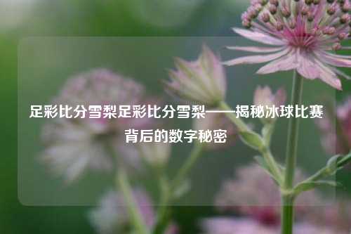 足彩比分雪梨足彩比分雪梨——揭秘冰球比赛背后的数字秘密