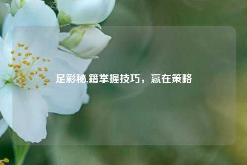 足彩秘,籍掌握技巧，赢在策略