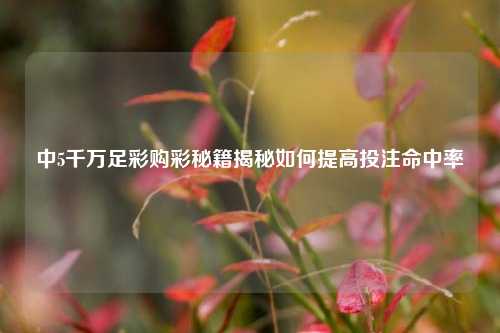 中5千万足彩购彩秘籍揭秘如何提高投注命中率