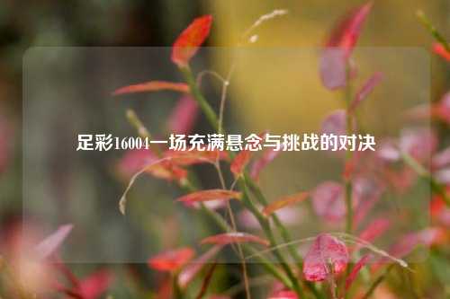足彩16004一场充满悬念与挑战的对决