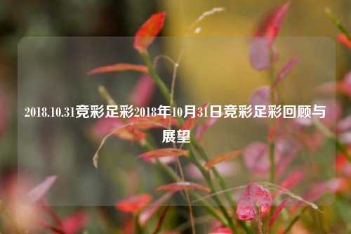 2018.10.31竞彩足彩2018年10月31日竞彩足彩回顾与展望
