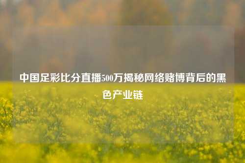 中国足彩比分直播500万揭秘网络赌博背后的黑色产业链