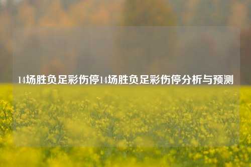 14场胜负足彩伤停14场胜负足彩伤停分析与预测