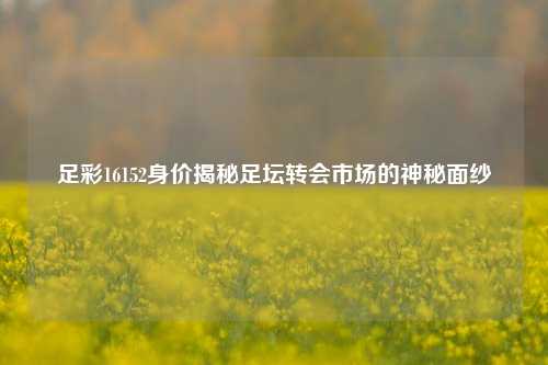 足彩16152身价揭秘足坛转会市场的神秘面纱