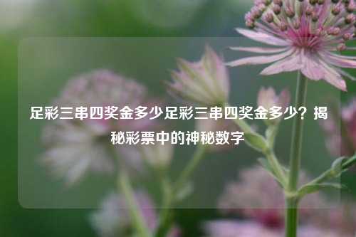 足彩三串四奖金多少足彩三串四奖金多少？揭秘彩票中的神秘数字