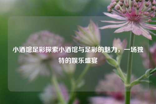 小酒馆足彩探索小酒馆与足彩的魅力，一场独特的娱乐盛宴