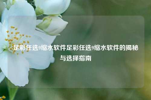足彩任选9缩水软件足彩任选9缩水软件的揭秘与选择指南