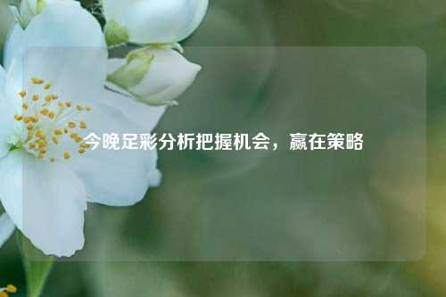 今晚足彩分析把握机会，赢在策略