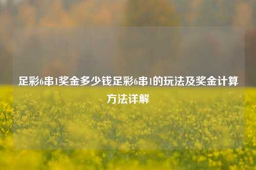 足彩6串1奖金多少钱足彩6串1的玩法及奖金计算方法详解