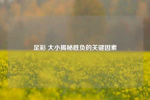 足彩 大小揭秘胜负的关键因素