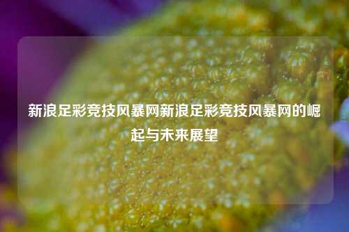 新浪足彩竞技风暴网新浪足彩竞技风暴网的崛起与未来展望