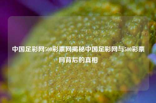 中国足彩网500彩票网揭秘中国足彩网与500彩票网背后的真相