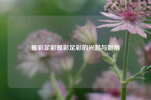 雅彩足彩雅彩足彩的兴起与影响