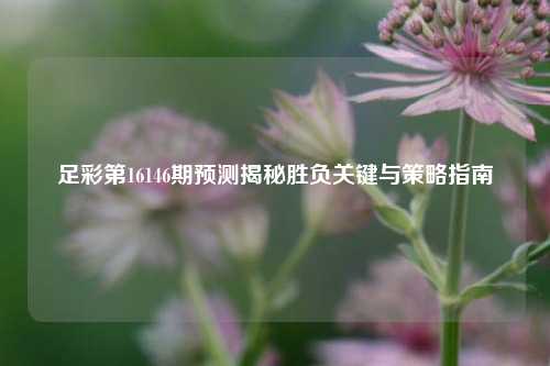 足彩第16146期预测揭秘胜负关键与策略指南