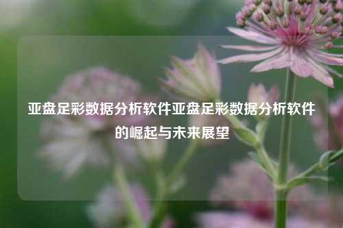 亚盘足彩数据分析软件亚盘足彩数据分析软件的崛起与未来展望