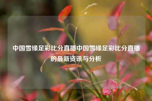 中国雪缘足彩比分直播中国雪缘足彩比分直播的最新资讯与分析